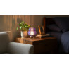 Decorative lamp SWAY