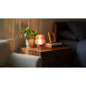 Decorative lamp SWAY